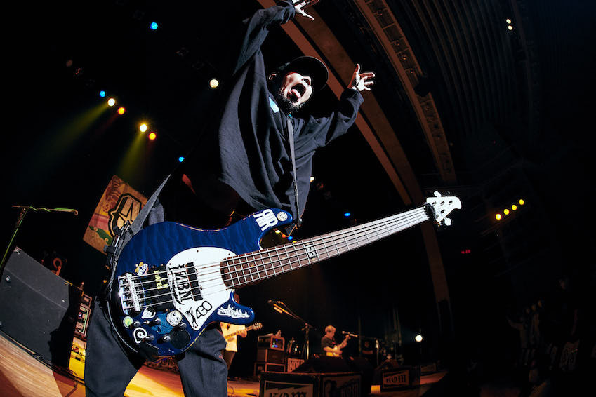 KNOCK OUT MONKEY_photo