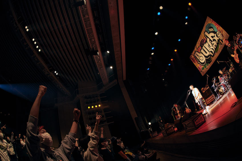 KNOCK OUT MONKEY_photo